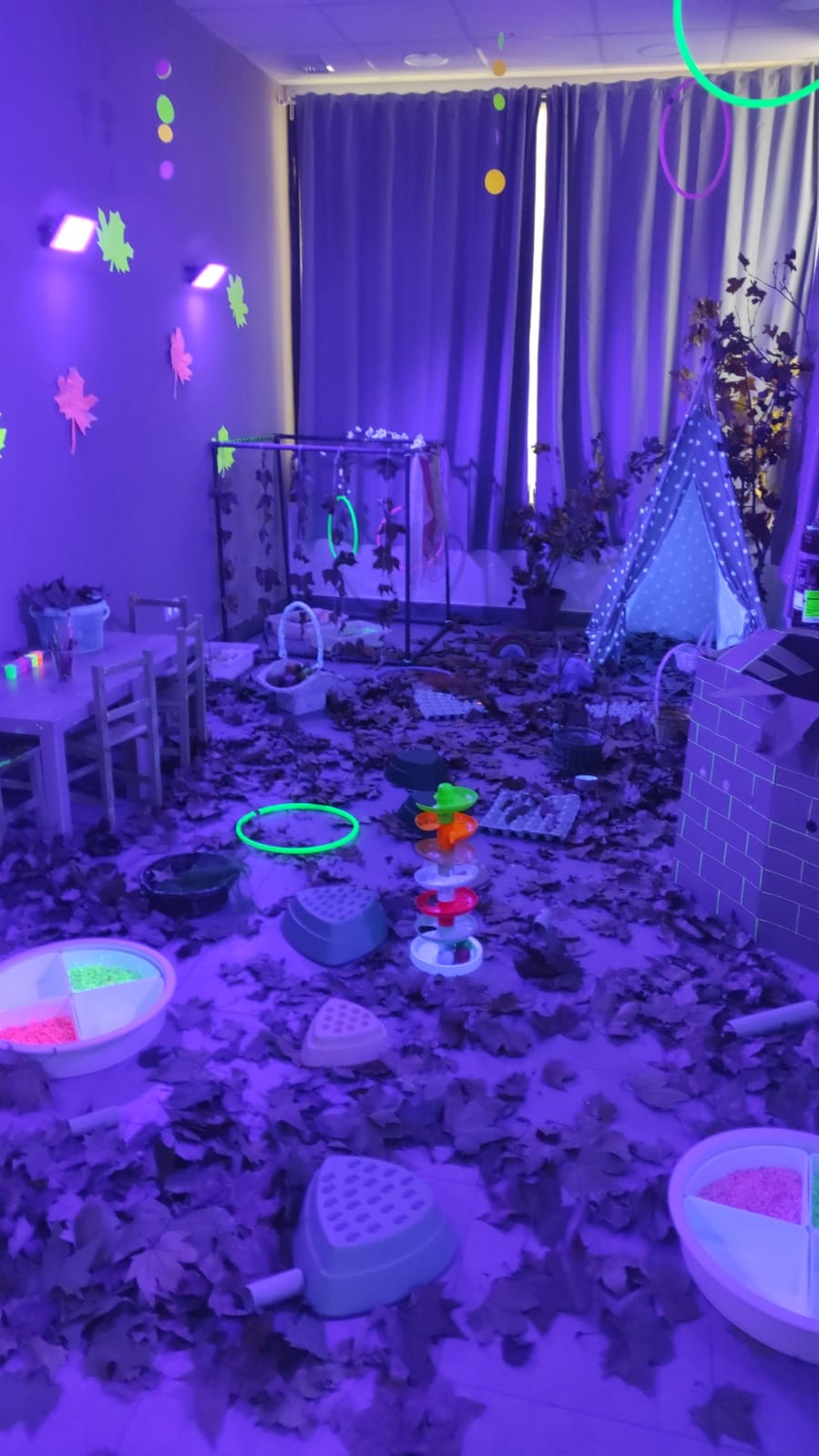 Imagen de WhatsApp 2025-01-06 a las 20.12.44_b6a7e151